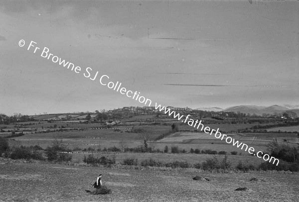 COUNTY DOWN LANDSCAPES WITH MOURNE MOUNTAINS FROM SOUTH WEST OF RATHFRILAND